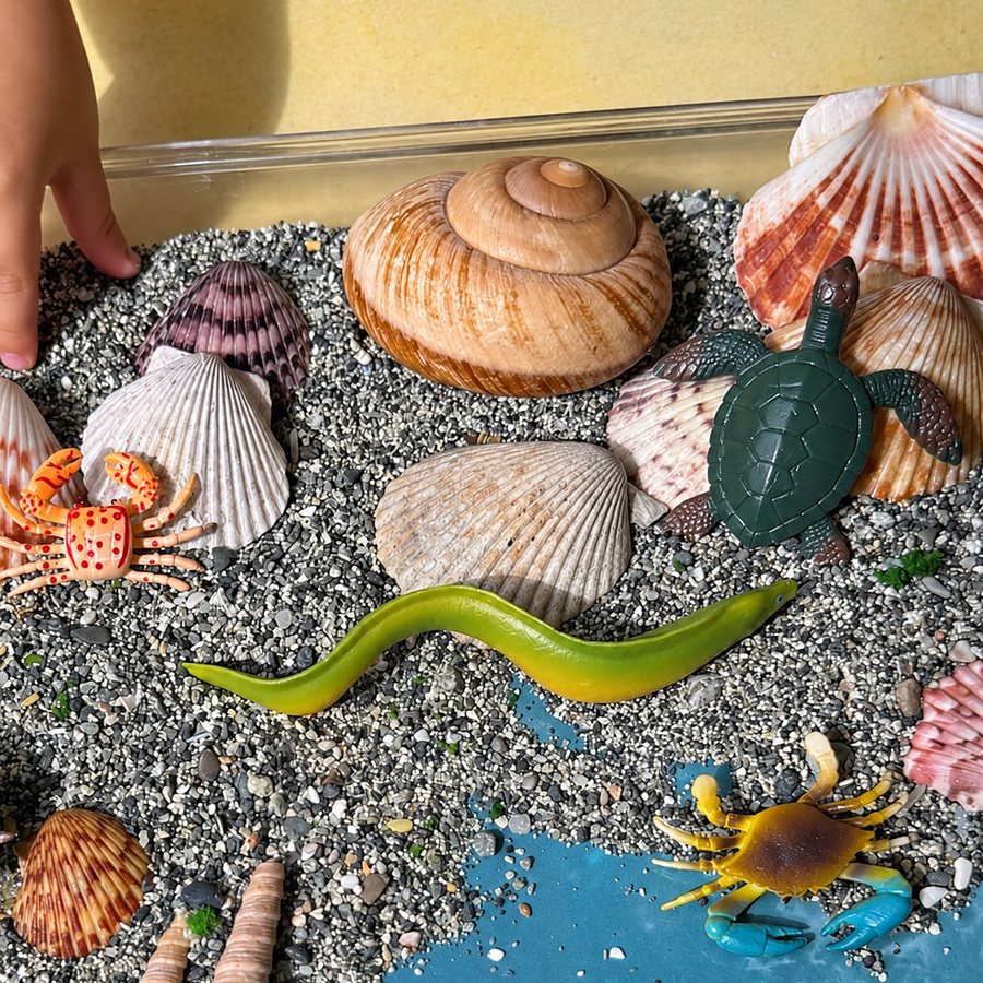 Сенсорная коробка Море